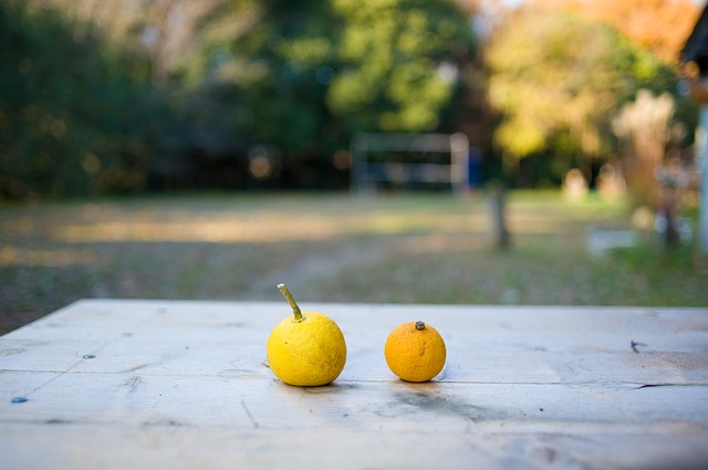 citrus-fruits-648317_640