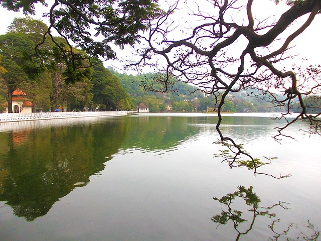kandy-lake-241719_640