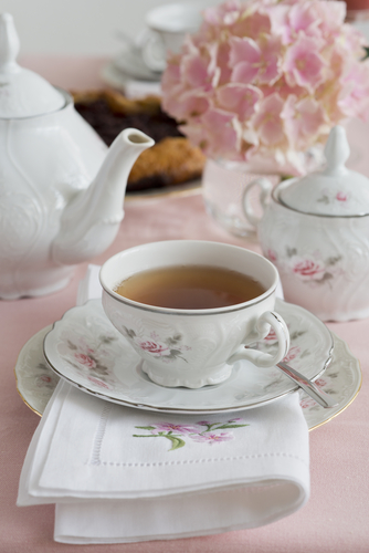 ElenaKor/Shutterstock.com