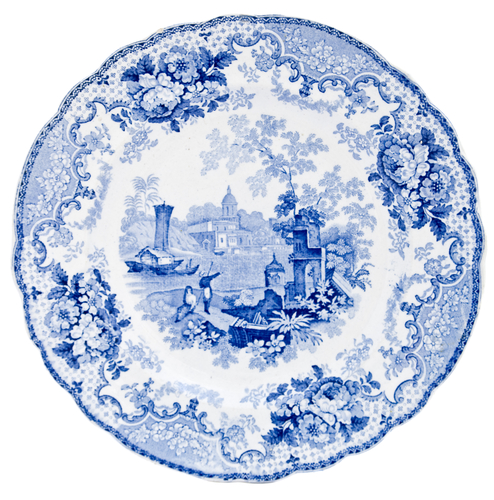 ブルーイタリアン Christopher Elwell/Shutterstock.com