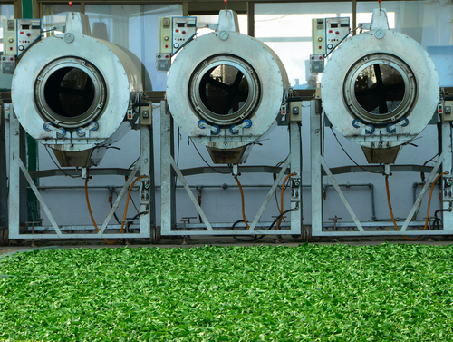 NarisaFotoSS/Shutterstock.com