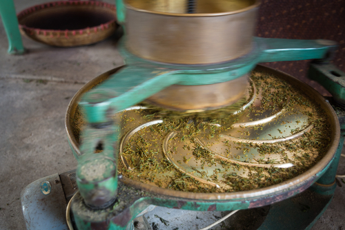 wang song/Shutterstock.com