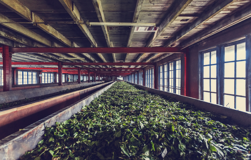 Naumenko Aleksandr/Shutterstock.com