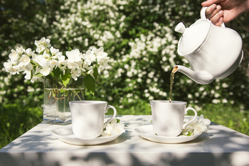 Mallmo/Shutterstock.com