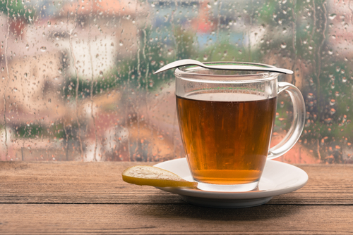 Marek Bidzinski/Shutterstock.com